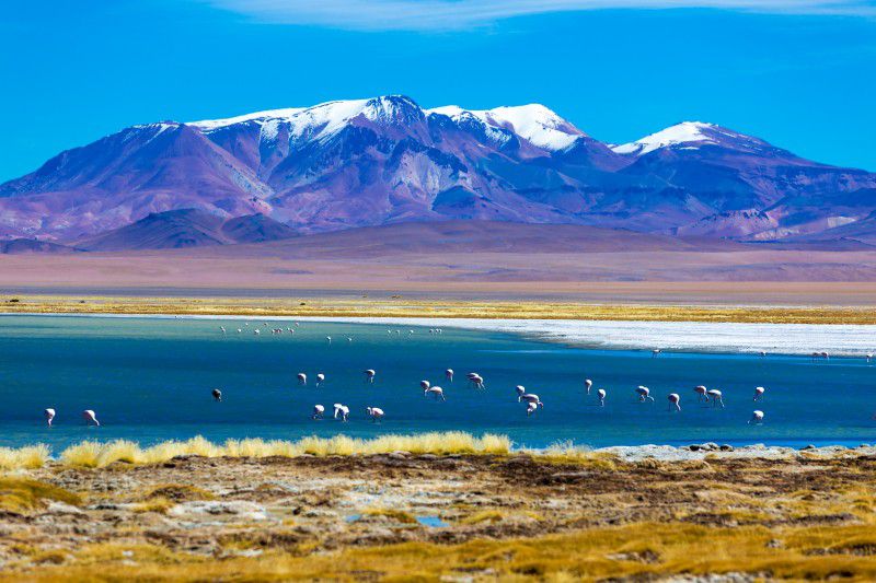 Lago com flamingos no Deserto do Atacama