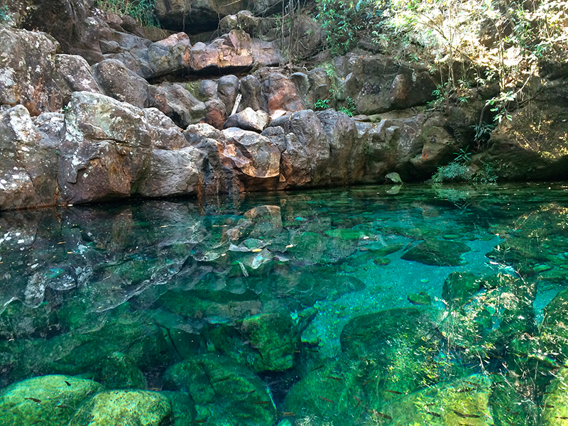 Chapada dos Veadeiros: Preparar sua bagagem é um dos preparos mais importantes para conhecer a região