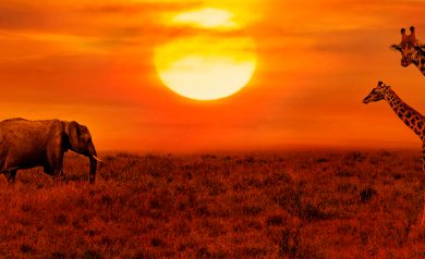 Cultura da África do Sul: Uma riqueza histórica, cultural incomparável