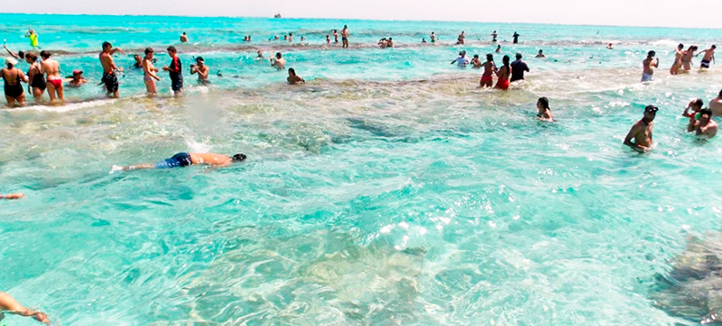 Praias do Caribe: O aquário é um verdadeiro observatório da vida marinha