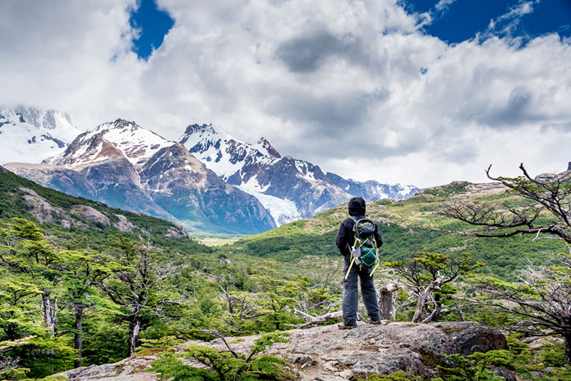 Trekking na Patagônia: Conhecer a fauna e flora local é um dos objetivos dos trekkings