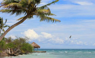 Pacote para Cartagena: Viagem incrível