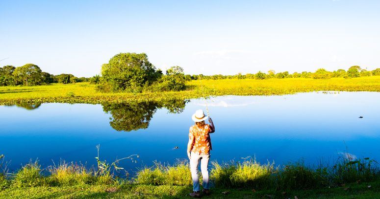 Pantanal Promocional
