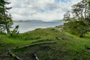 Black November Patagônia